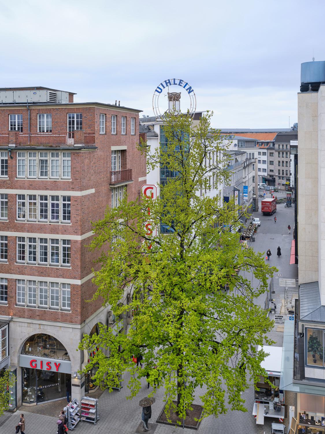 View of office building exterior with trees in Amsterdam city center