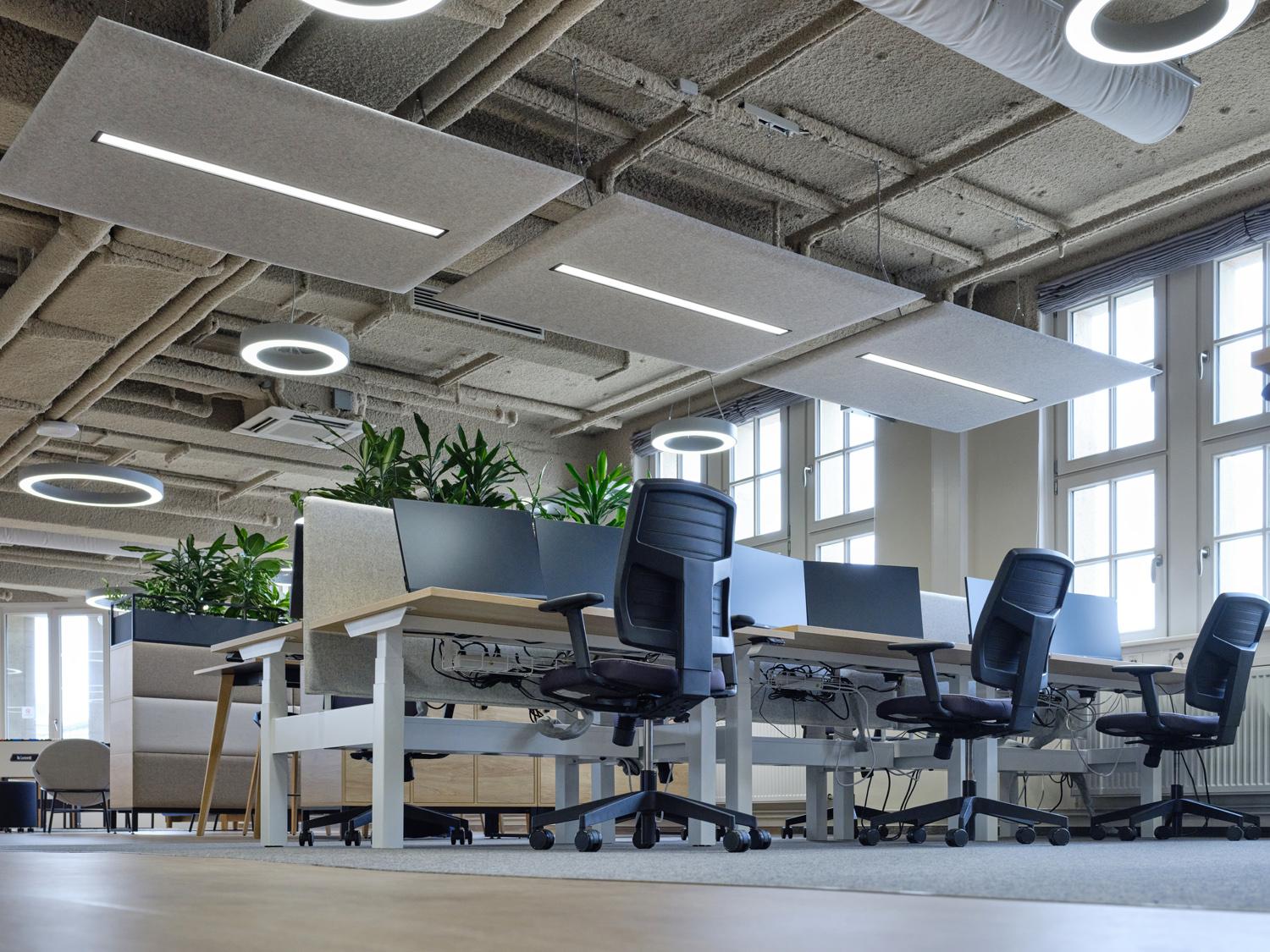 Open office space with desks, chairs and acoustic ceiling panels for noise control